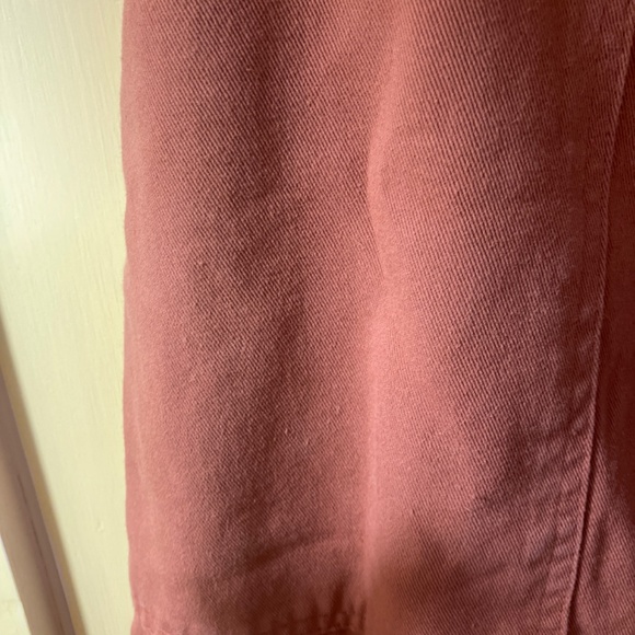 Big bud press xs pencil pants terracotta rust brick clay - Picture 4 of 6